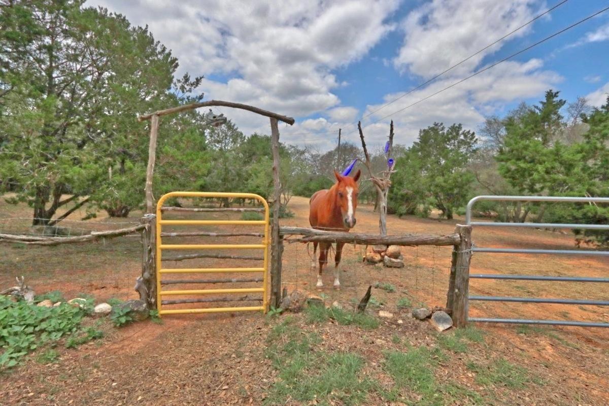 Three Horses Ranch Villa Johnson City Exteriör bild